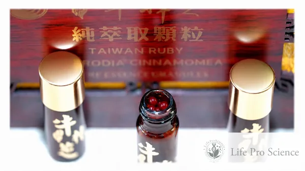 Taiwan Ruby Antrodia Cinnamomea Pure Essence Granules, cutie cu 3 flacoane x 120 granule